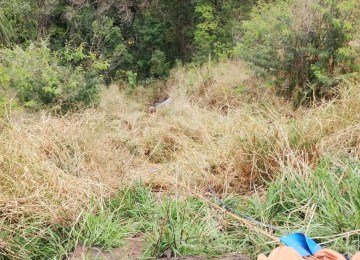 Veículo capotou e despencou pelo barranco -  (crédito: CBMMG)