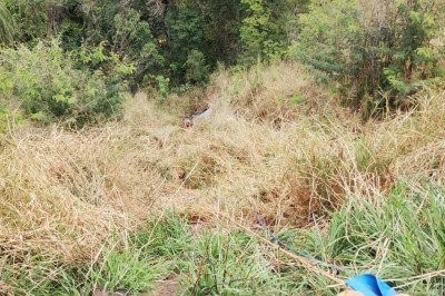 Veículo capotou e despencou pelo barranco -  (crédito: CBMMG)