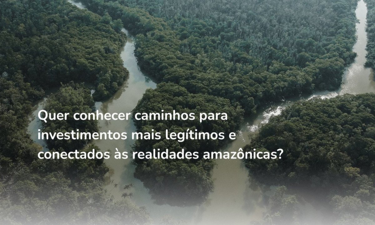 Webinário debate caminhos para investimentos sustentáveis - (crédito: DINO)