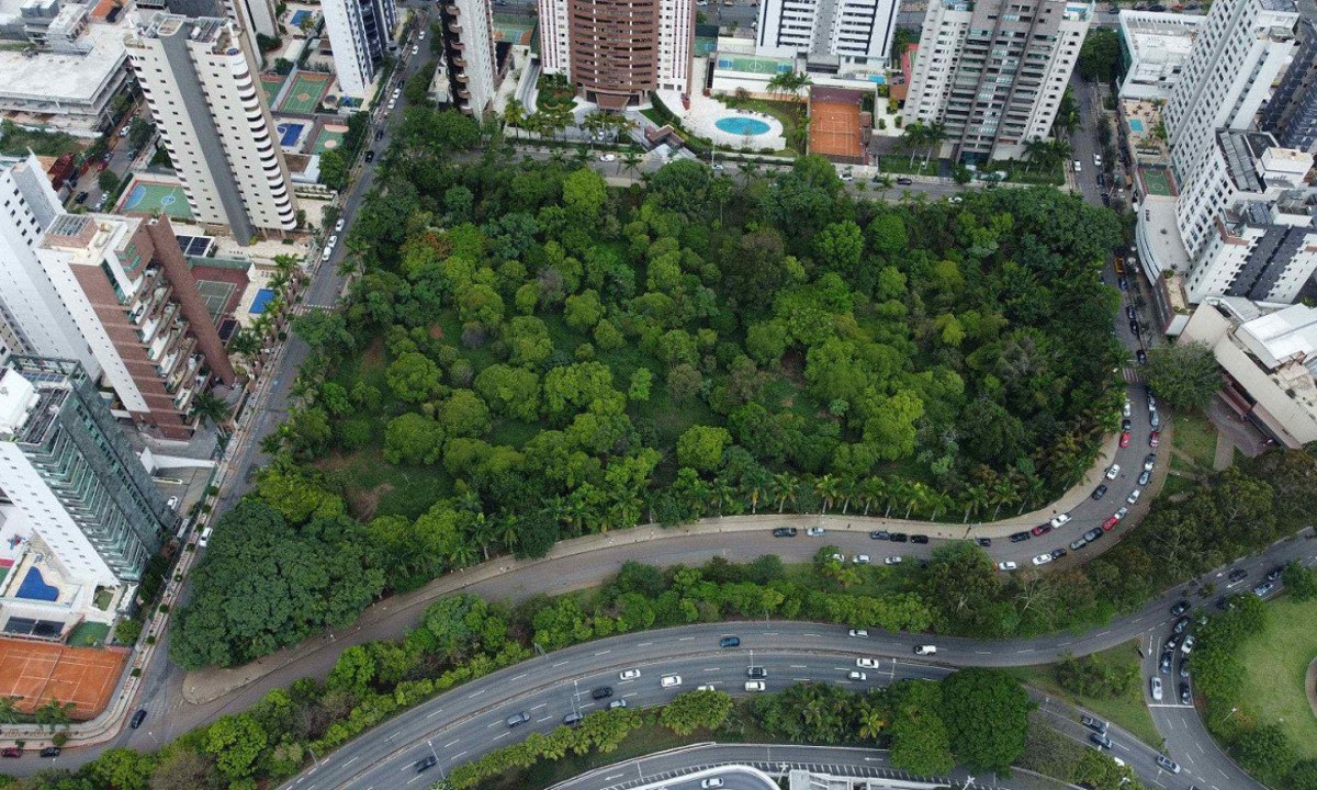 Área verde conhecida como Lagoa Seca, hoje pertencente à iniciativa privada, será transformada em unidade de conservação permanente - (crédito: Leandro Couri/EM/D.A.Press)