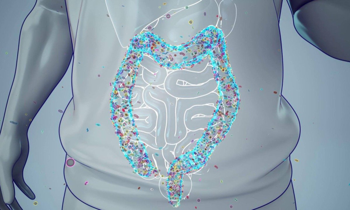 O microbioma intestinal influencia na saúde digestiva, ao metabolismo e à resposta imunológica - (crédito: julos/magnific)