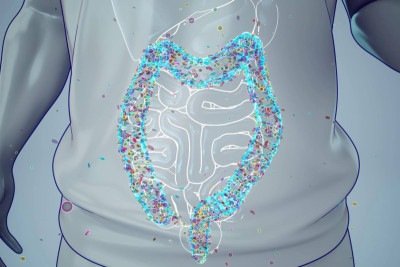 O microbioma intestinal influencia na saúde digestiva, ao metabolismo e à resposta imunológica -  (crédito: julos/magnific)