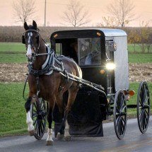 Como a hermética comunidade amish combate o surto de sarampo mais mortal da história recente dos EUA - Dale Weiser