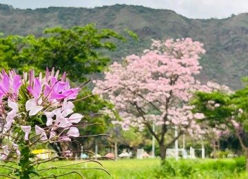 Defesa Civil alertou para altas temperaturas e tempo seco -  (crédito: Edésio Ferreira/EM. D.A Press)