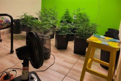 A perícia foi acionada e realiza a contabilização e os procedimentos técnicos referentes ao material apreendido -  (crédito: PMMG)