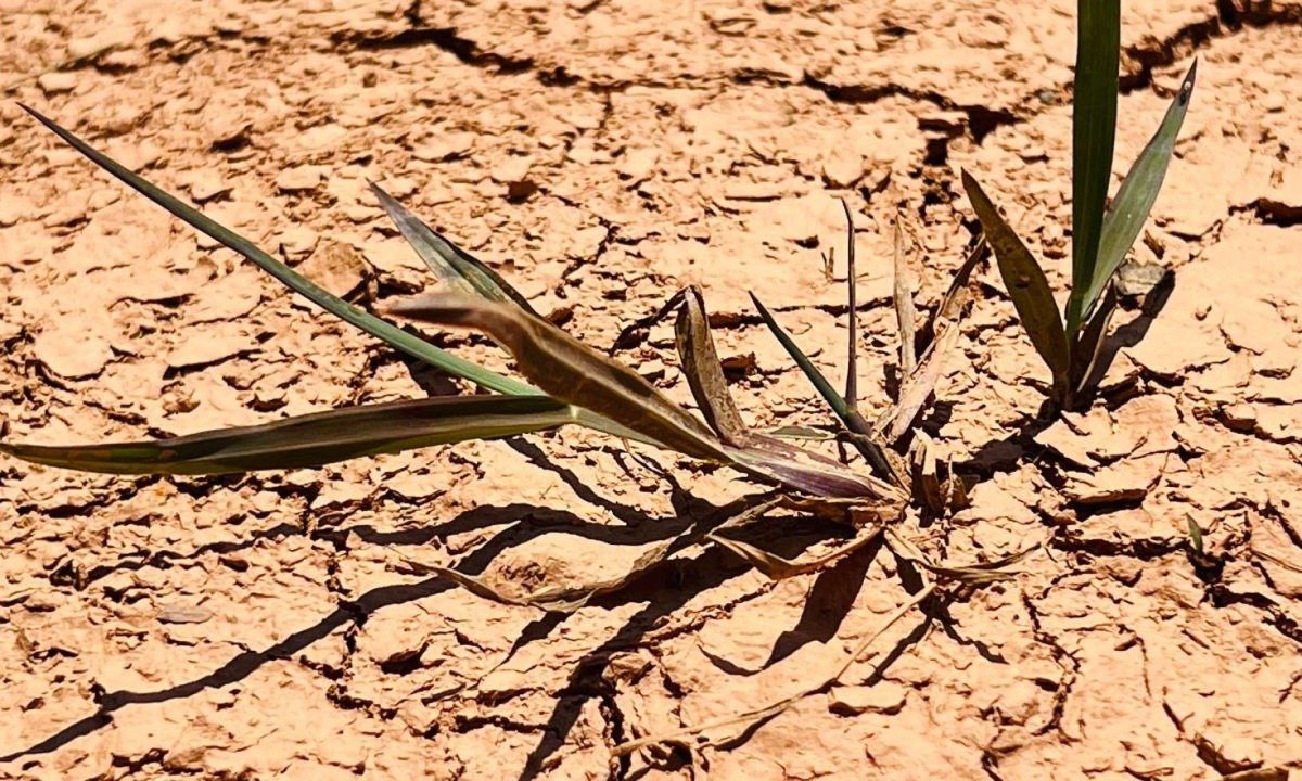 A condição é provocada pela atuação de uma massa de ar quente, que favorece a elevação das temperaturas e a permanência do tempo seco - (crédito: Edésio Ferreira/EM/DA.Press)