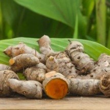 Derivado da cúrcuma mostra potencial para combater fungo causador de micose -  Shutterstock