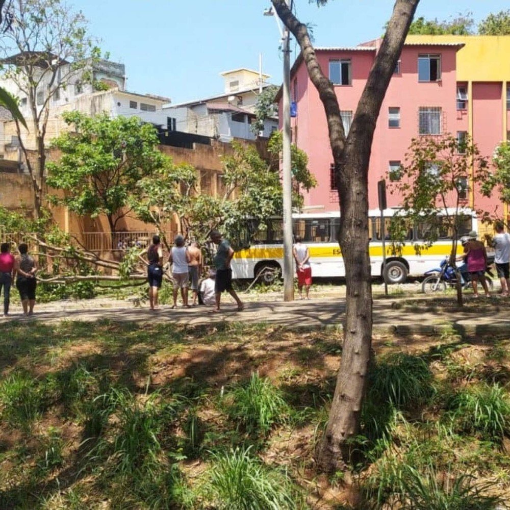 Ônibus escolar bate em poste e árvore em bairro de Belo Horizonte