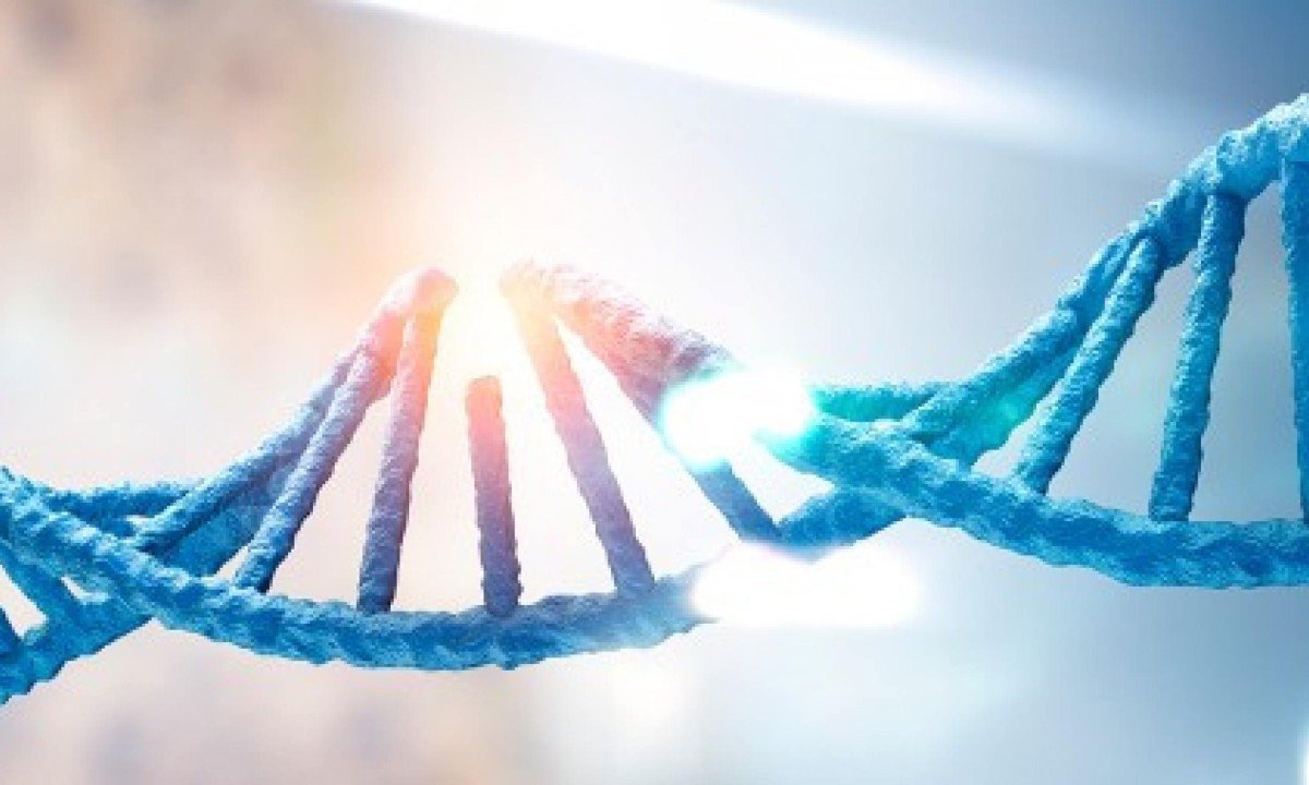 Quando as fitas do DNA se rompem, as células normalmente adotam mecanismos para religá-las ou, caso não consigam, elas induzem a própria morte, em um processo chamado apoptose - (crédito: Shutterstock)