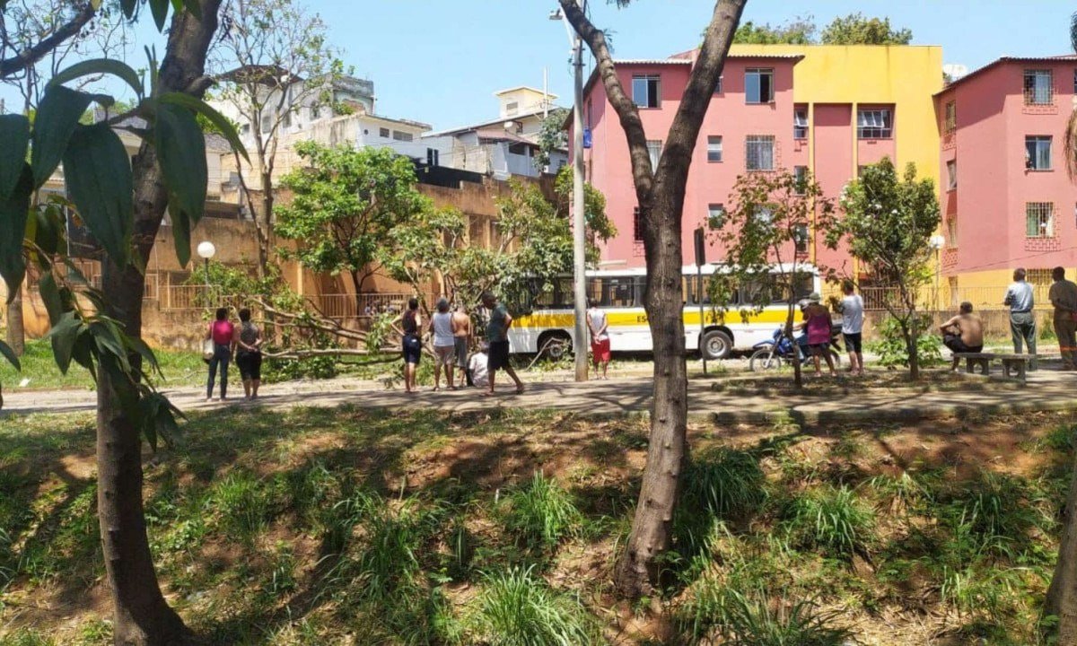 Um ônibus escolar invadiu a calçada e bateu em uma árvore e um poste - (crédito: CBMMG/Divulgação)
