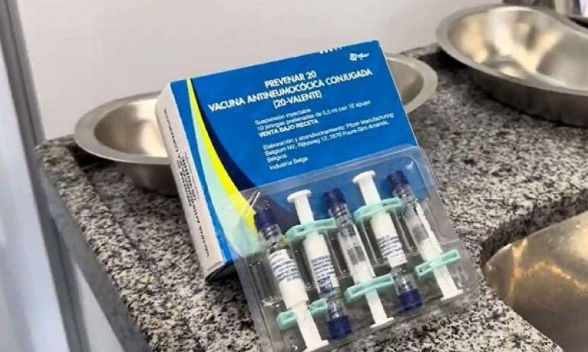 Vacina Pneumo 20 será aplicada a idosos a partir de 85 anos nos centros de saúde de BH - (crédito: Henrique Menezes/PBH)