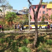 Ônibus escolar bate em poste e árvore em bairro de BH - CBMMG/Divulga&ccedil;&atilde;o