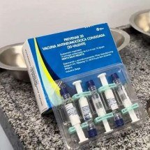 BH aplica vacina contra pneumonia e meningite em idosos nesta terça - Henrique Menezes/PBH