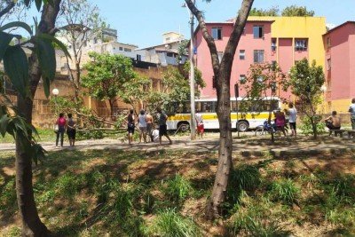 Um &ocirc;nibus escolar invadiu a cal&ccedil;ada e bateu em uma &aacute;rvore e um poste -  (crédito: CBMMG/Divulga&ccedil;&atilde;o)
