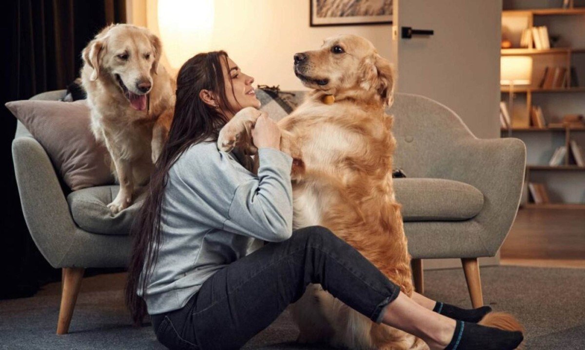 Especialistas em psicologia apontam: escolher pets em vez de filhos pode revelar uma visão de vida que poucos percebem - (crédito: Tupi)