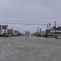 Tubarão é flagrado em rua alagada durante tempestade nos EUA; veja - Tupi