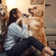 Especialistas em psicologia apontam: escolher pets em vez de filhos pode revelar uma visão de vida que poucos percebem - Tupi