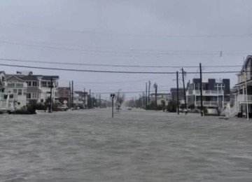 Tubarão é flagrado em rua alagada durante tempestade nos EUA; veja -  (crédito: Tupi)