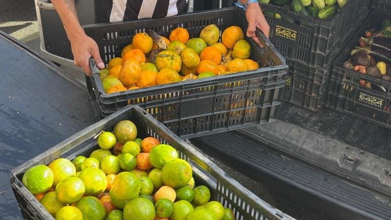 A log&iacute;stica do Banco de Alimentos da PBH movimenta hortifrutigranjeiros doados para institui&ccedil;&otilde;es de seguran&ccedil;a alimentar -  (crédito: Divulga&ccedil;&atilde;o/PBH)