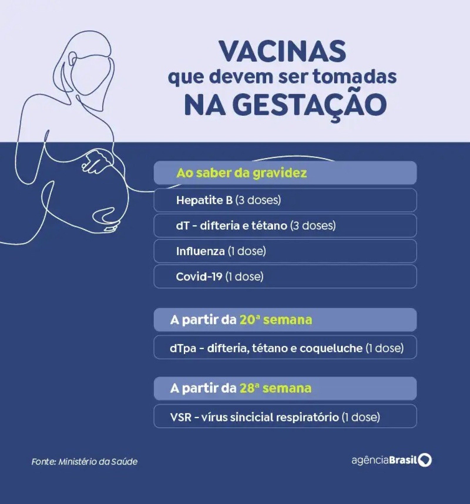 Vacinas que devem ser tomadas na gesta&ccedil;&atilde;o