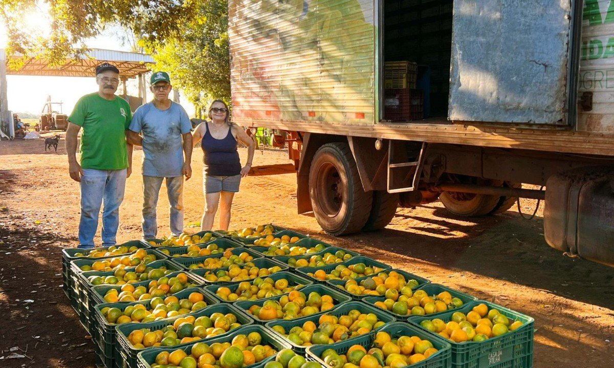 Sidrolândia lidera CeasaMS com a força do pequeno agricultor - (crédito: DINO)