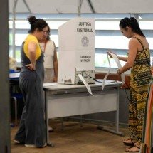Amnésia das urnas e algoritmos da colônia