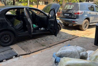 ?PRF apreende cerca de 110kg de skunk disfarçado com mostarda nas embalagens no km 477 da BR-381, em Contagem -  (crédito: Divulgação/PRF)