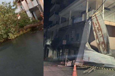Temporal provocou queda de árvores e destelhamentos -  (crédito: Reprodução/Defesa Civil)