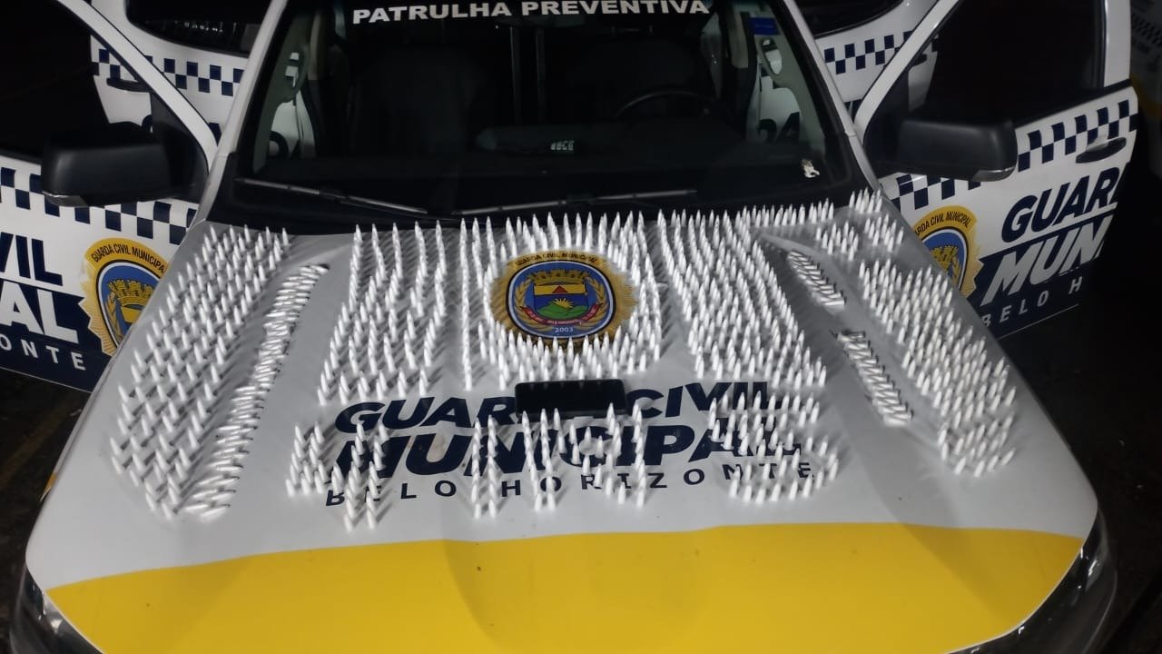 Os 948 pinos de coca&iacute;na apreendidos pela Guarda Civil Municipal de Belo Horizonte durante patrulhamento preventivo -  (crédito: Divulga&ccedil;&atilde;o/Guarda Municipal de BH)