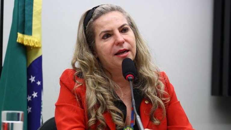 Luizianne Lins (Rede), candidata ao Senado pelo Cear&aacute; -  (crédito: Vin&iacute;cius Loures/C&acirc;mara dos Deputados)