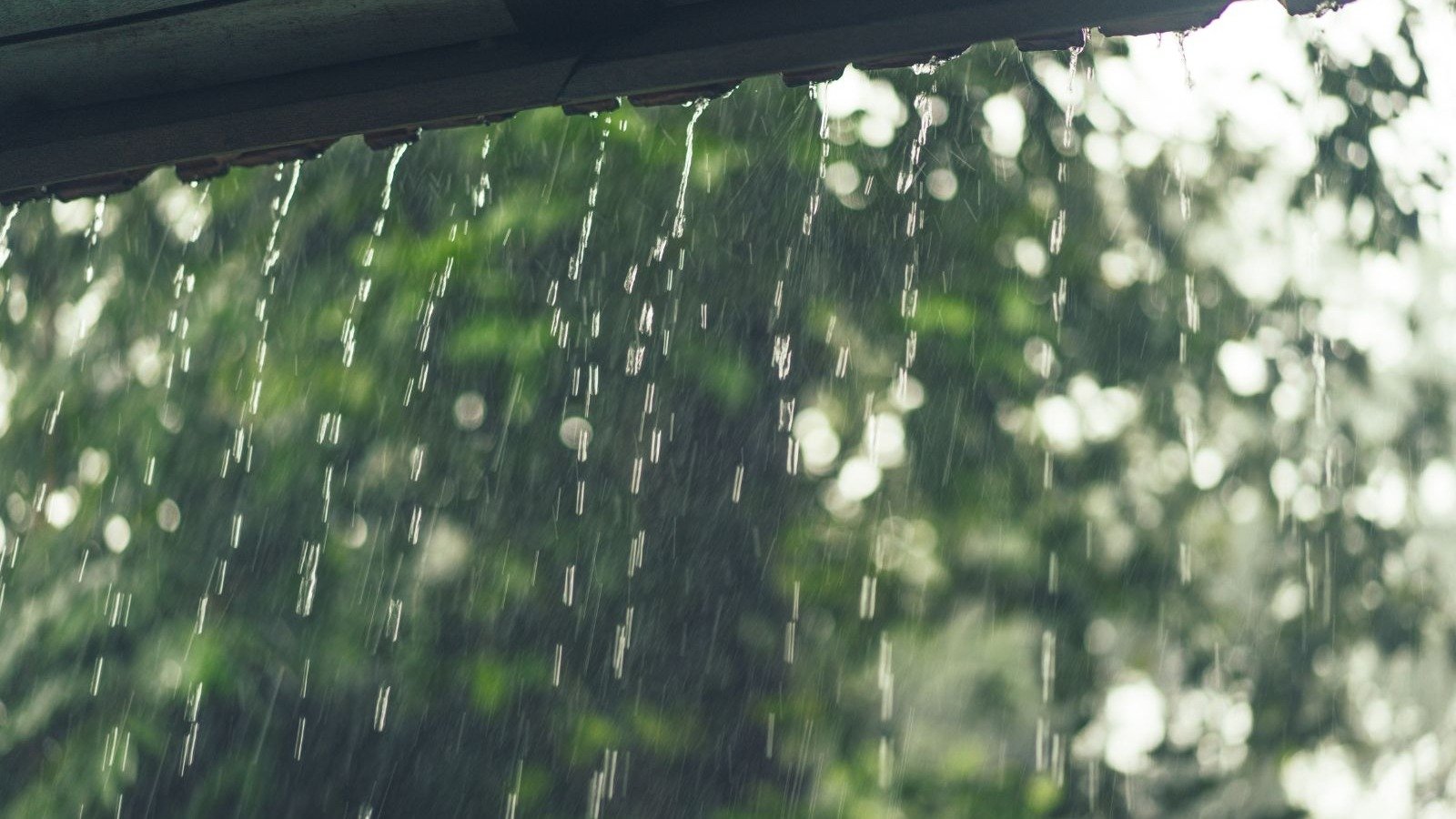 Chuva, um dos fen&ocirc;menos associados &agrave; frente fria que avan&ccedil;a sobre o pa&iacute;s -  (crédito: Freepik)