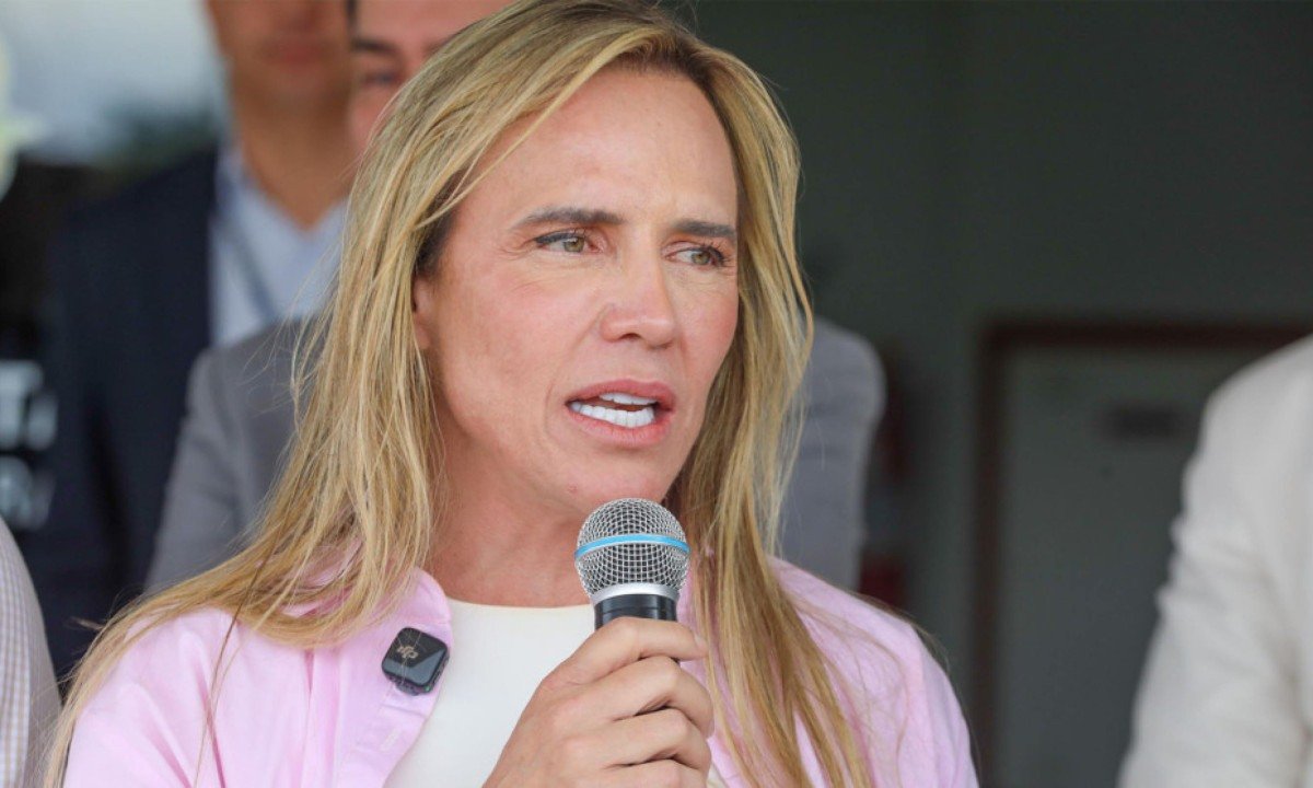 Celina Leão recua de Lei Seca em Brasília no primeiro turno - (crédito: Foto: Joel Rodrigues / Agência Brasília)