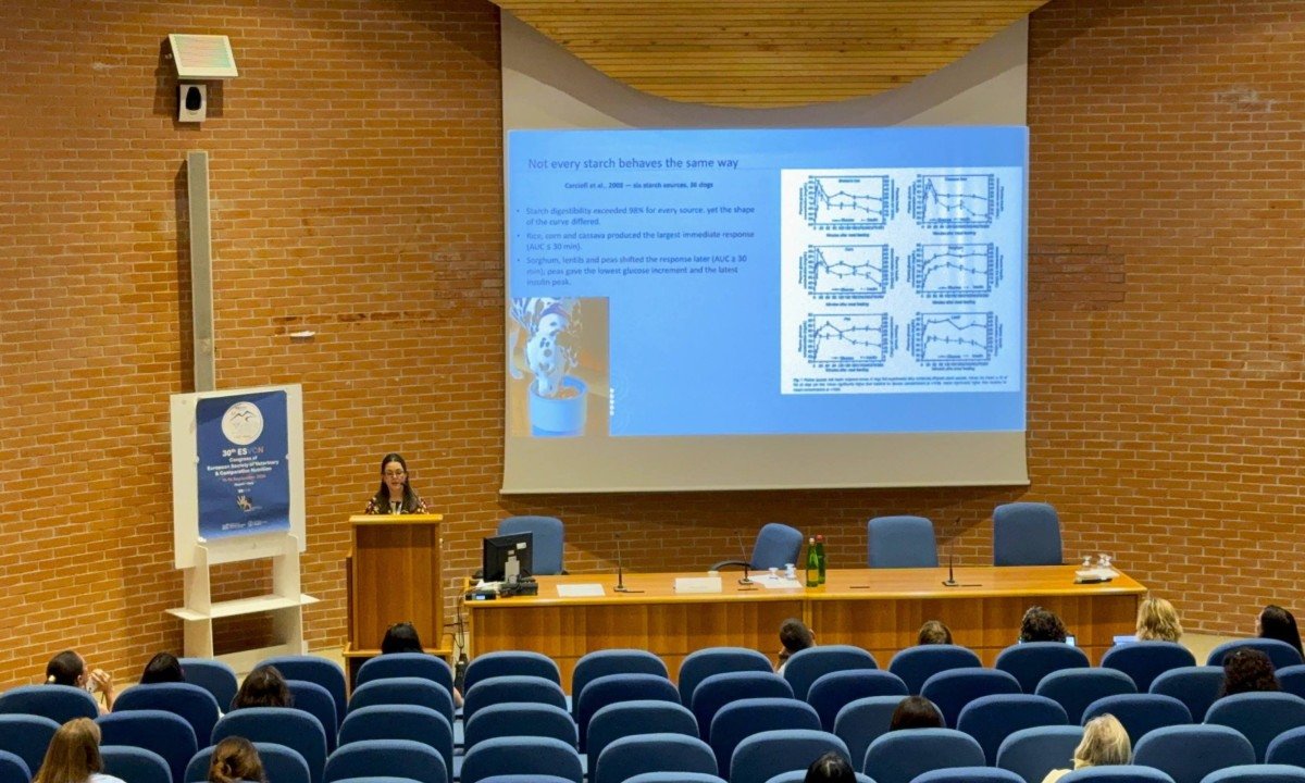 Medicina veterinária brasileira é destaque em evento global - (crédito: DINO)