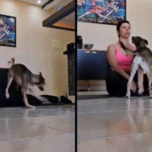 Cão apronta durante sessão de yoga e transforma relaxamento em diversão