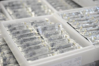 A administração da insulina em pacientes diabéticos é feita por meio de seringas com agulhas acopladas; desabastecimento em cidades mineiras acende alerta       -  (crédito: Alexandre Guzanshe/EM/D.A Press)