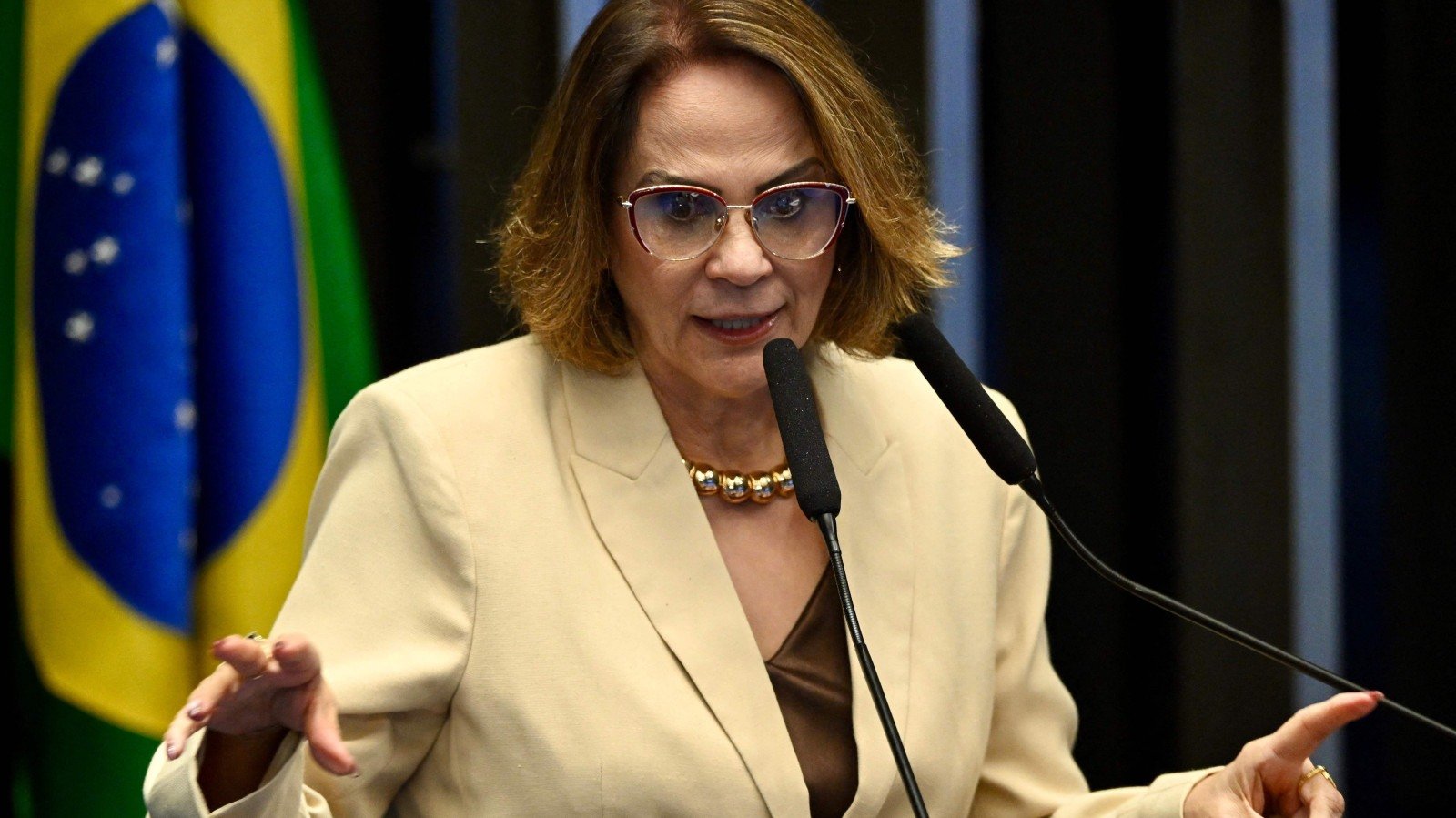 A senadora Damares Alves (PL-DF) relatou o mal-estar de Bolsonaro e fez apelos pol&iacute;ticos em defesa do ex-presidente -  (crédito: Evaristo Sa / AFP)