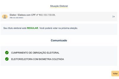 Consulta digital da situa&ccedil;&atilde;o eleitoral exibe o status de regularidade do t&iacute;tulo -  (crédito: Reprodu&ccedil;&atilde;o/tse.jus.br)