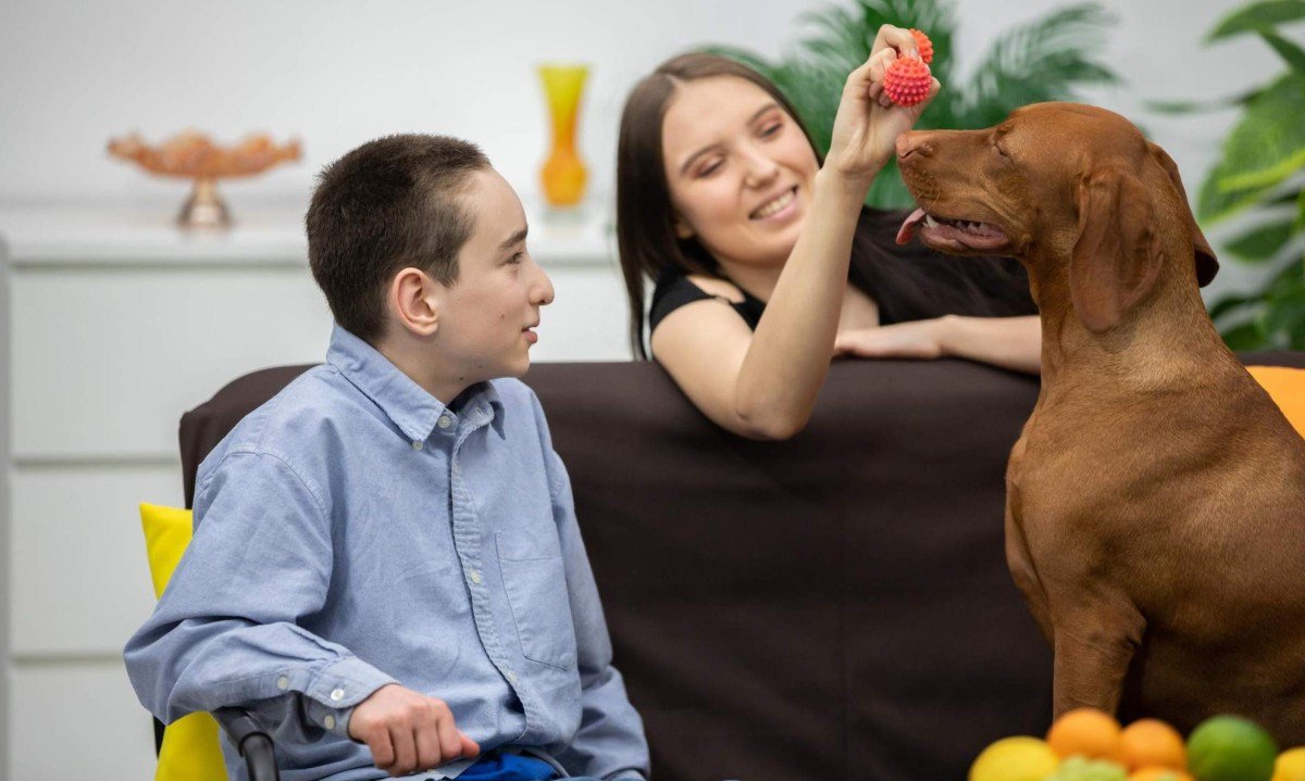 Atendimento gratuito com cães para crianças neurodivergentes - (crédito: DINO)