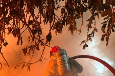 Incêndio atinge depósito de materiais recicláveis  -  (crédito: Corpo de Bombeiros/Divulgação )