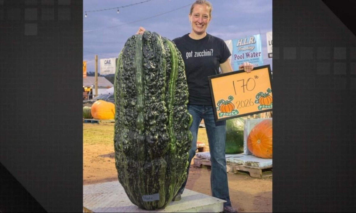 Agricultora cultiva abobrinha gigante de 77 kg e bate recorde continental, mas além do peso um outro detalhe impressiona - (crédito: Tupi)