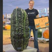Agricultora cultiva abobrinha gigante de 77kg e bate recorde continental - Tupi