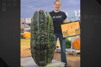 Agricultora cultiva abobrinha gigante de 77kg e bate recorde continental
