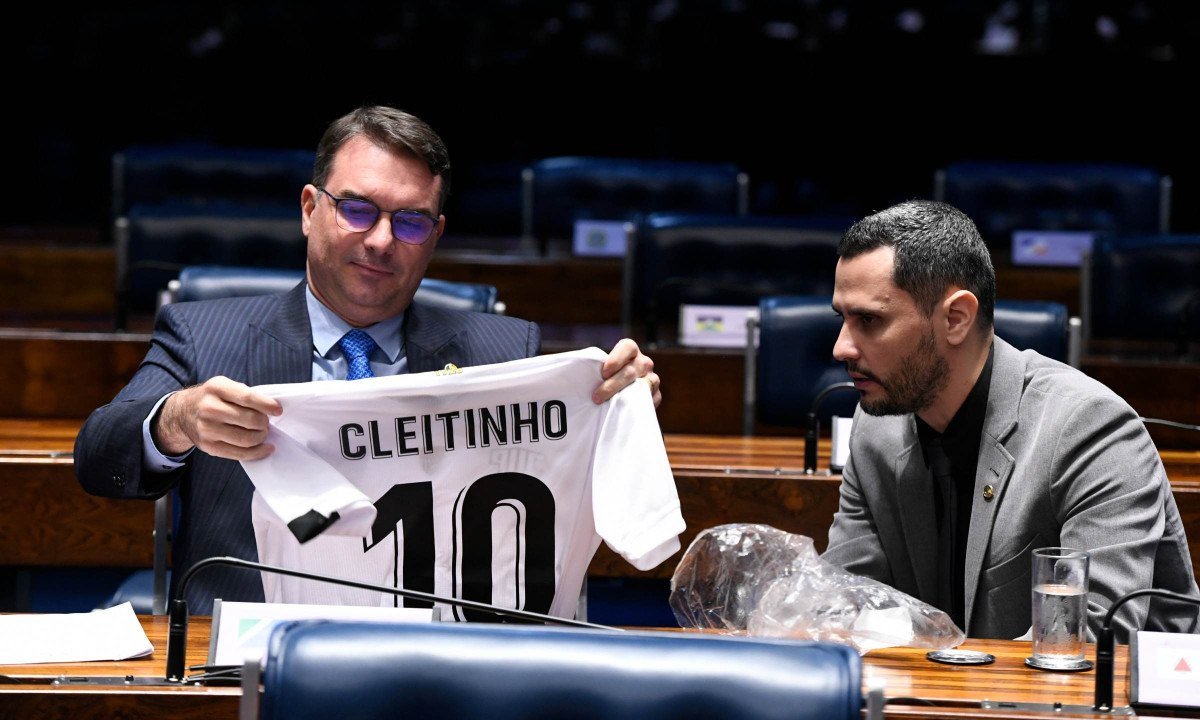 Flávio Bolsonaro e Cleitinho são senadores - (crédito: Jefferson Rudy/Agência Senado)