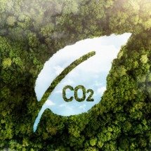 Crédito de carbono de alta qualidade sobe 75%, diz MSCI - DINO