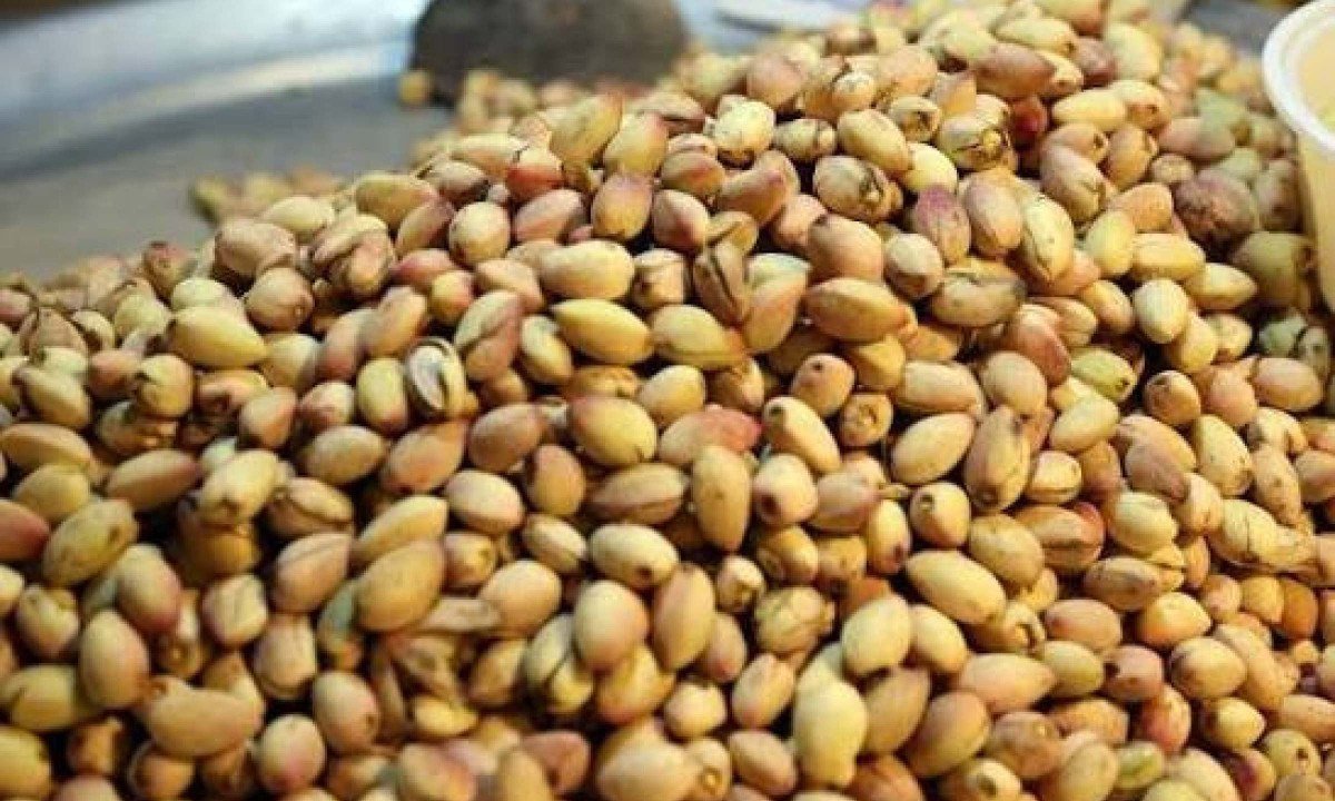 Pistaches oferecem benefícios para a saúde - (crédito: DINO)