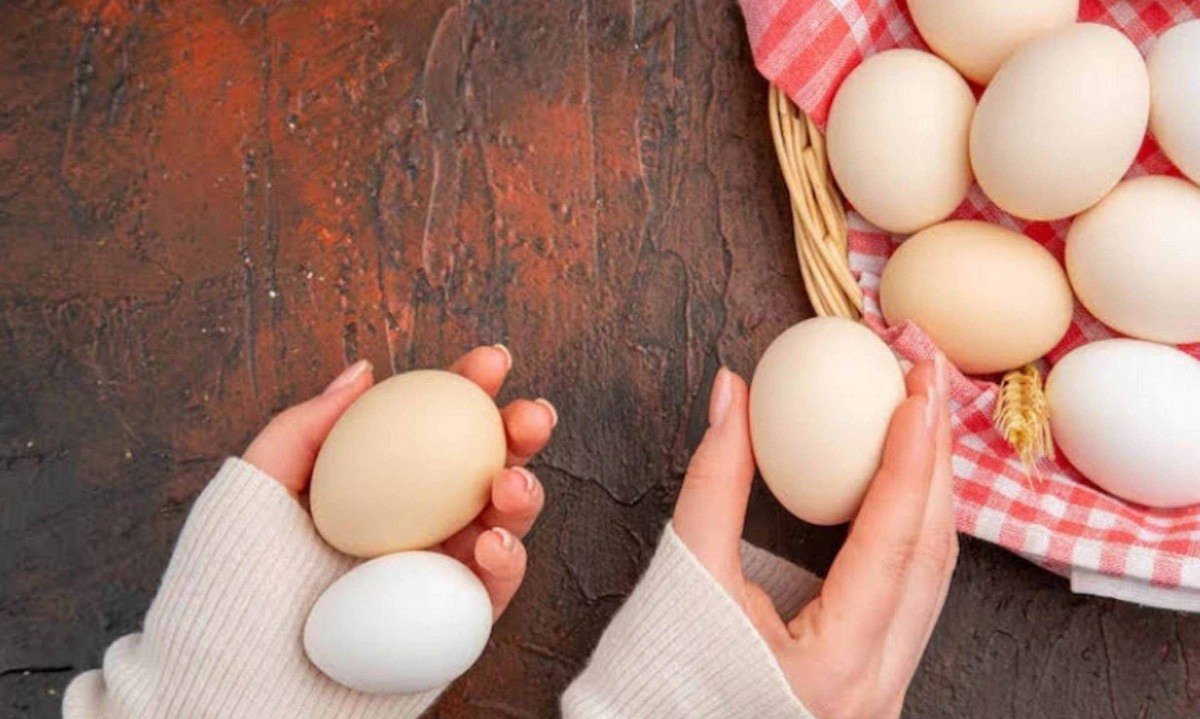 Um alimento saudável não precisa ser consumido em excesso para trazer benefícios - (crédito: Magnific)