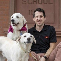 Cães grandes envelhecem mais rápido, revela estudo sobre DNA