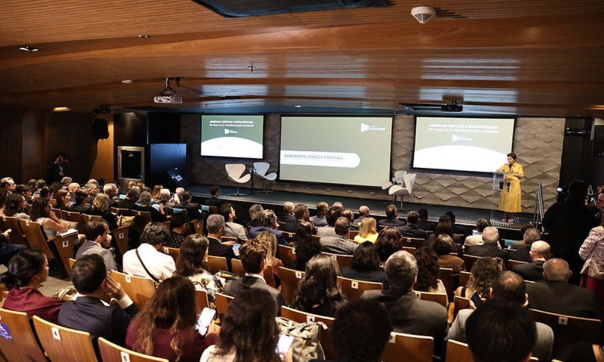 Os desafios para industrializar minerais críticos - (crédito: DINO)