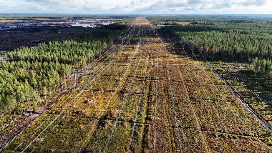 Vista a&eacute;rea de &aacute;rea florestal desmatada para linhas de energia, refletindo o tipo de interven&ccedil;&atilde;o ambiental em projetos na Finl&acirc;ndia -  (crédito: ALESSANDRO RAMPAZZO / AFP)