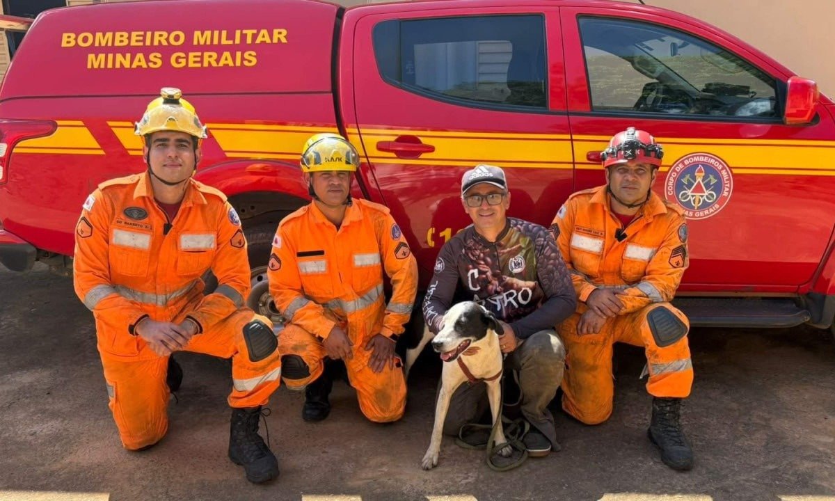 Bombeiros resgatam cachorro em paredão de pedra na região de Carangola - (crédito: CBMMG)